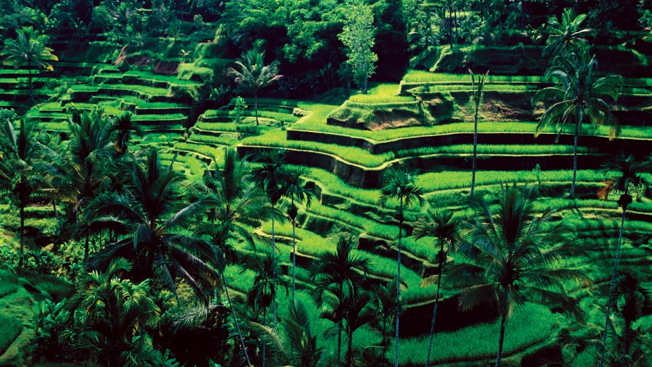 bali-4